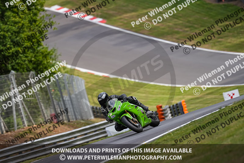 brands hatch photographs;brands no limits trackday;cadwell trackday photographs;enduro digital images;event digital images;eventdigitalimages;no limits trackdays;peter wileman photography;racing digital images;trackday digital images;trackday photos
